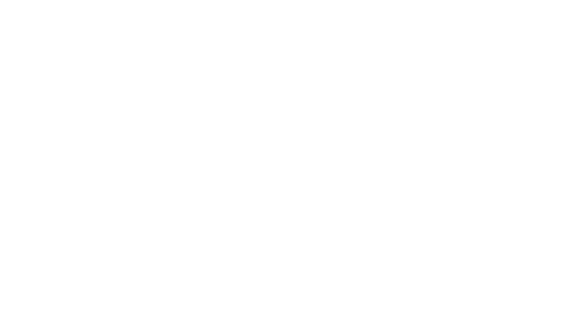 Animated logo